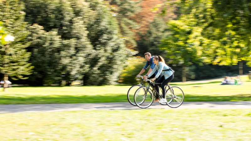 Zwei Radler:innen fahren durch den sonnigen Park, seitliche Ansicht Zwei Radler:innen fahren durch den sonnigen Park, seitliche Ansicht